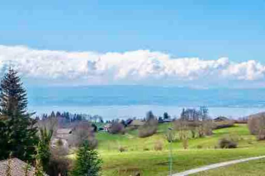 Duplex En Station Vue Sur Lac Leman Thollon-les-Memises Exterior foto