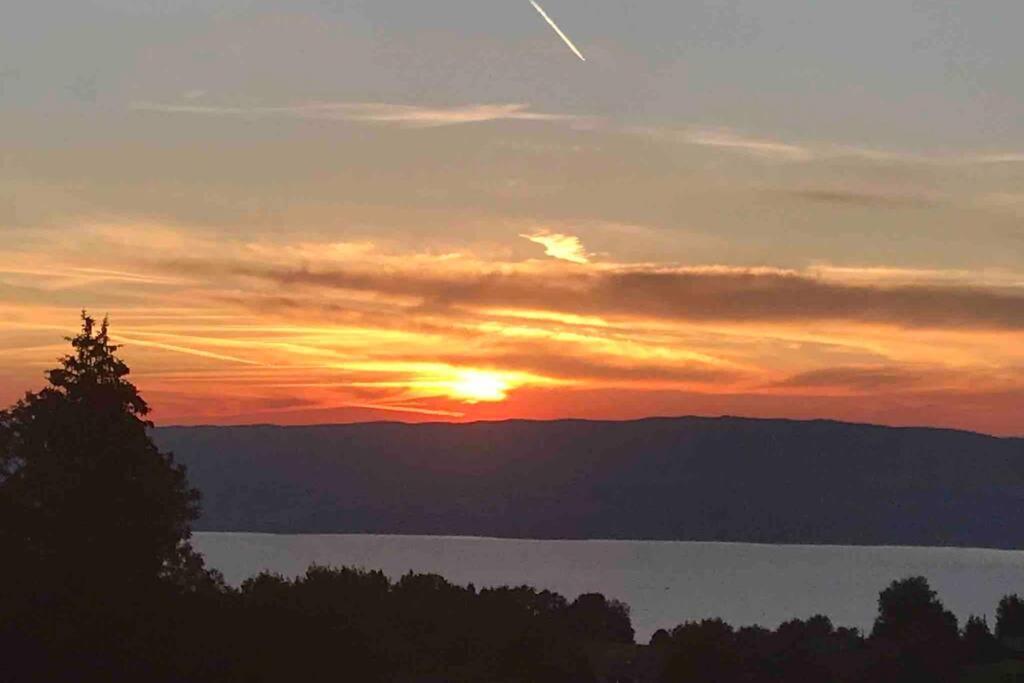 Duplex En Station Vue Sur Lac Leman Thollon-les-Memises Exterior foto